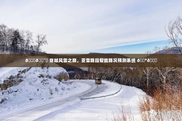 亚雪路段智能路况预测系统，风雪之巅的行车导航与预测先锋