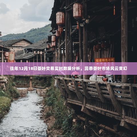 往年12月18日茶叶市场实时交易数据深度解析，洞悉市场风云，把握茶叶行情