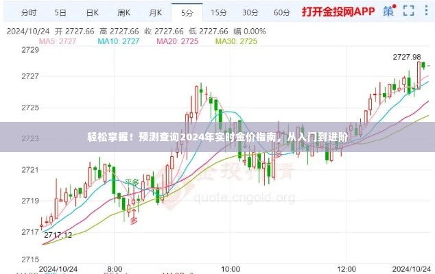 入门到进阶，预测查询2024年实时金价指南，轻松掌握金价动态！