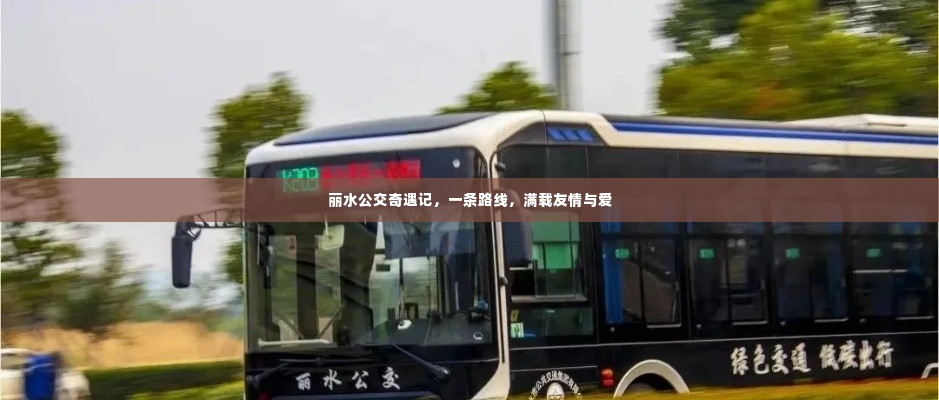 丽水公交奇遇记，友情与爱的路线之旅