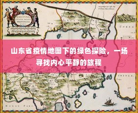 山东省疫情地图下的绿色探险，寻找内心平静的旅程探索