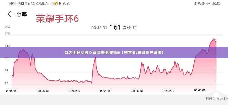 华为手环实时心率监测使用指南，适合初学者与进阶用户