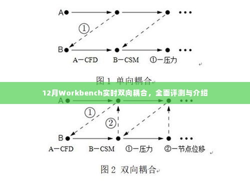 12月Workbench实时双向耦合，全面解读与评测