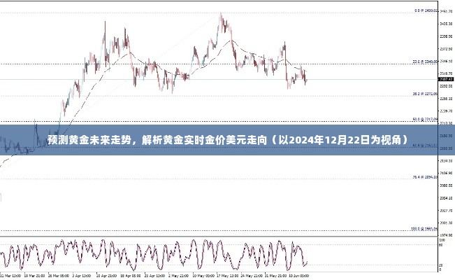 黄金未来走势预测，实时金价与美元走向解析（至2024年12月22日视角）