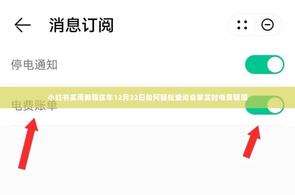 小红书实用教程，轻松查询往年电费明细，掌握自家实时电费信息