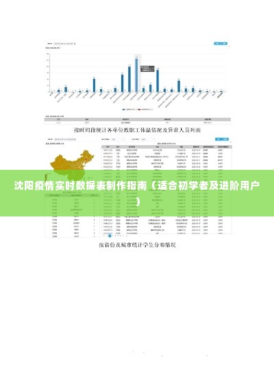 沈阳疫情实时数据表制作指南，初学者与进阶用户必备指南