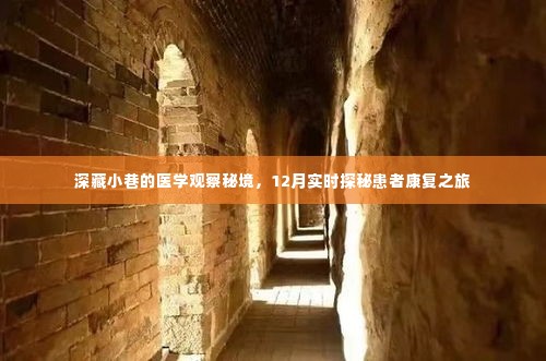 深藏小巷的医学观察秘境，患者康复之旅的实时探秘（12月）