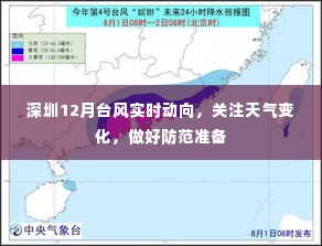 2024年12月24日 第6页