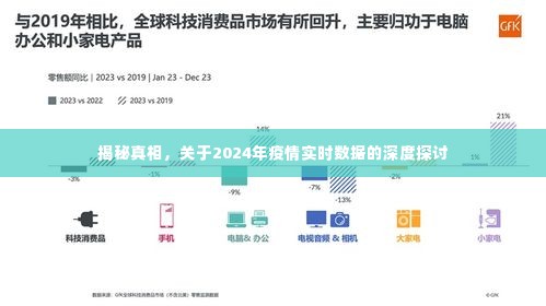 揭秘真相，深度探讨关于2024年疫情实时数据报告