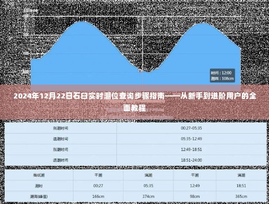 石臼潮位查询全面教程，从新手到进阶用户，一步步掌握2024年12月22日实时潮位信息