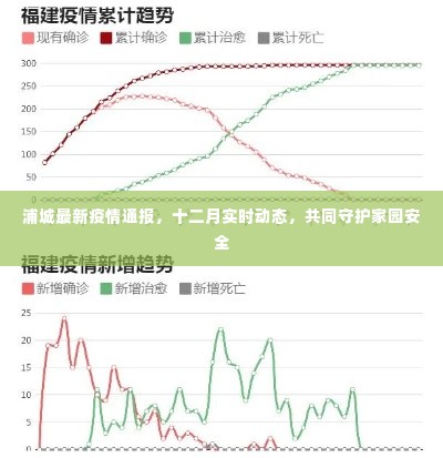 浦城最新疫情通报，十二月实时动态守护家园安全