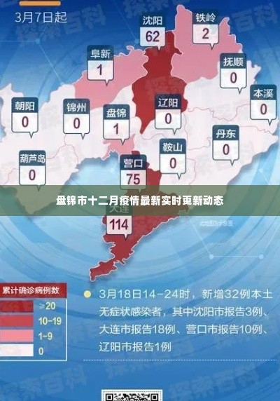 盘锦市十二月疫情实时更新动态通报