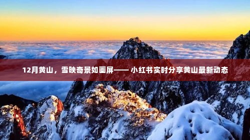 12月黄山雪映奇景，小红书实时更新，美景如画屏展示