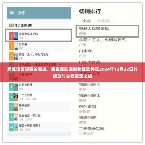 跨越语言障碍的奇迹，免费泰剧实时翻译软件重塑之旅（2024年12月22日）