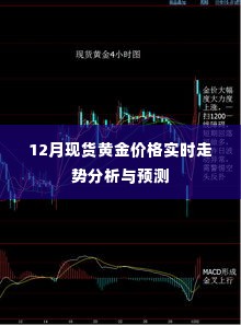 12月现货黄金价格实时走势分析与预测，洞悉黄金市场动态