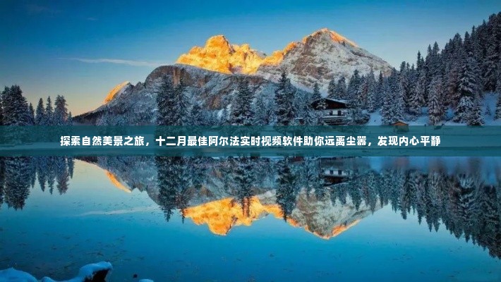 探索自然美景之旅，阿尔法实时视频软件带你远离尘嚣，发现内心平静的最佳十二月体验