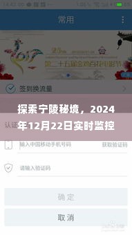 启程宁陵秘境，寻找内心的桃花源——实时监控回放记录，2024年12月22日探索之旅