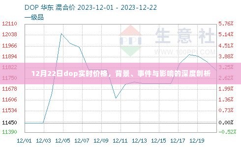 12月22日dop实时价格深度解析，背景、事件与影响全解析