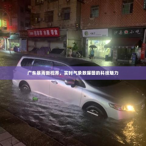 广东暴雨下的实时气象数据图，科技视界展现魅力