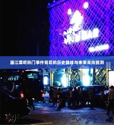 廉江酒吧热门事件深度解析，历史脉络探寻与未来走向预测