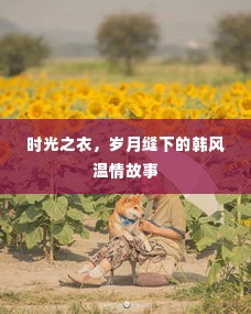 时光之衣，韩风温情岁月的缝绻故事