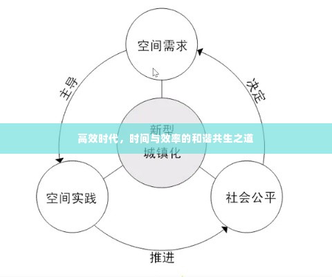 高效时代，时间与效率的和谐共生之道