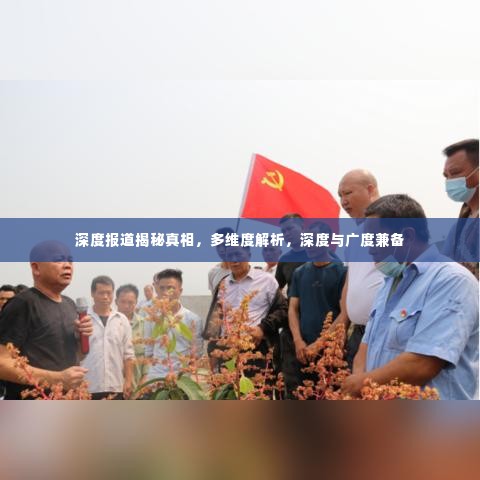 深度报道揭秘真相，多维度解析，深度与广度兼备