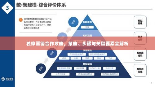 独家营销合作攻略，策略、步骤与关键要素全解析