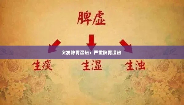 突发脾胃湿热：严重脾胃湿热 