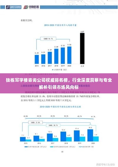 独栋写字楼咨询公司权威排名榜，行业深度洞察与专业解析引领市场风向标