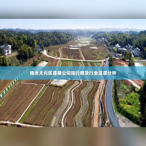 株洲天元区直播公司排行榜及行业深度分析