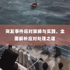 突发事件应对策略与实践，全面解析应对处理之道