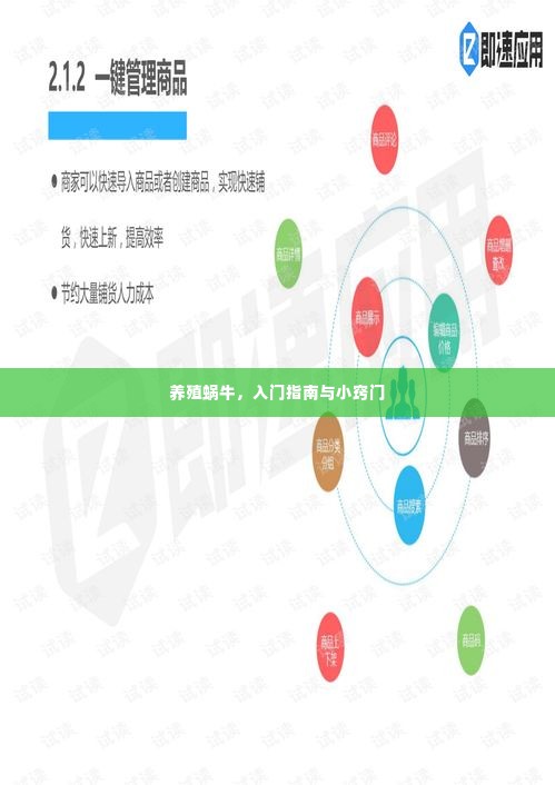 养殖蜗牛，入门指南与小窍门