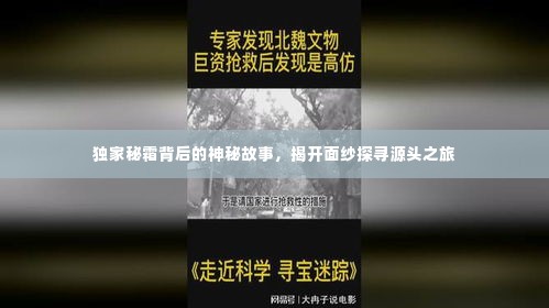 独家秘霜背后的神秘故事，揭开面纱探寻源头之旅