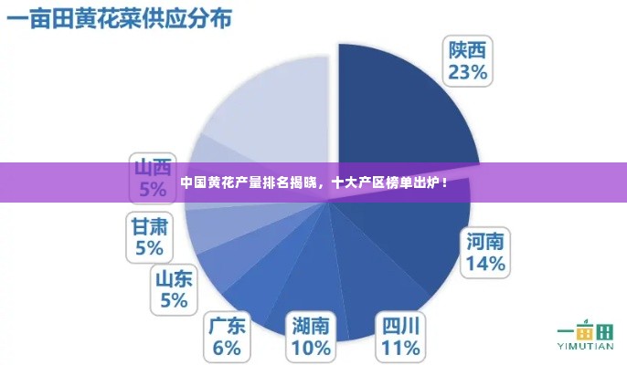 中国黄花产量排名揭晓，十大产区榜单出炉！