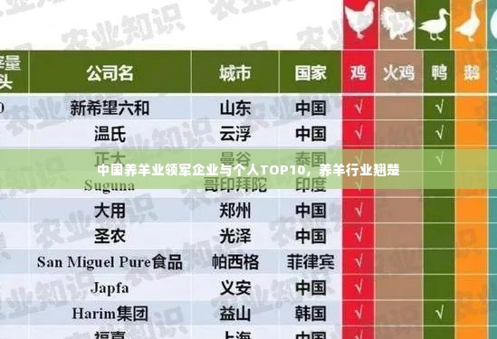 中国养羊业领军企业与个人TOP10，养羊行业翘楚