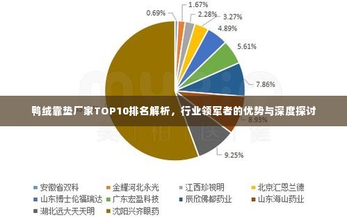 鸭绒靠垫厂家TOP10排名解析，行业领军者的优势与深度探讨