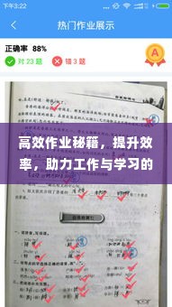 高效作业秘籍，提升效率，助力工作与学习的双赢之路