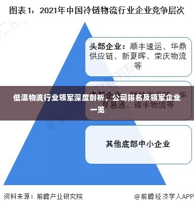 低温物流行业领军深度剖析，公司排名及领军企业一览