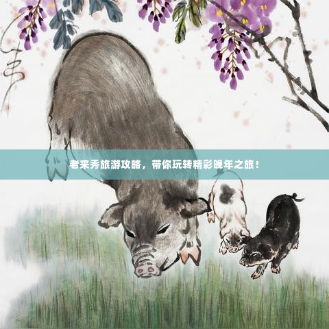 老来秀旅游攻略，带你玩转精彩晚年之旅！