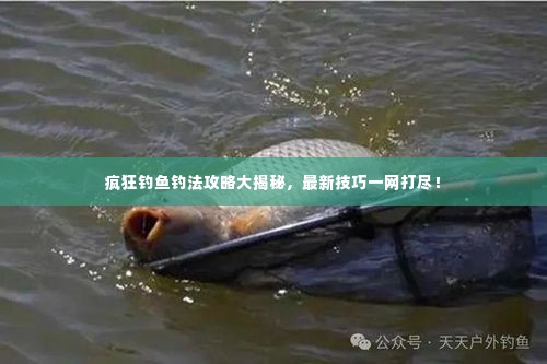 疯狂钓鱼钓法攻略大揭秘，最新技巧一网打尽！