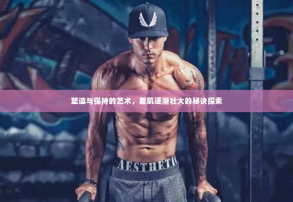塑造与保持的艺术，腹肌逐渐壮大的秘诀探索