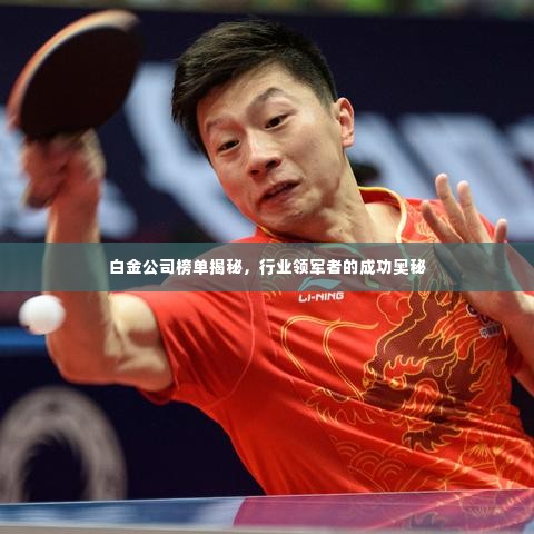 白金公司榜单揭秘，行业领军者的成功奥秘