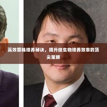高效菌株培养秘诀，提升微生物培养效率的顶尖策略
