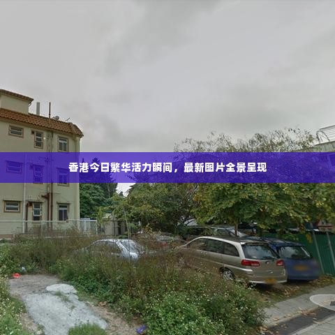 香港今日繁华活力瞬间，最新图片全景呈现