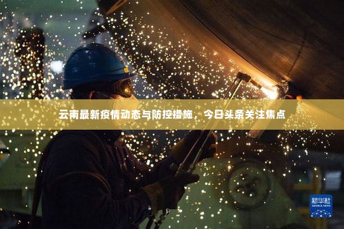 云南最新疫情动态与防控措施，今日头条关注焦点