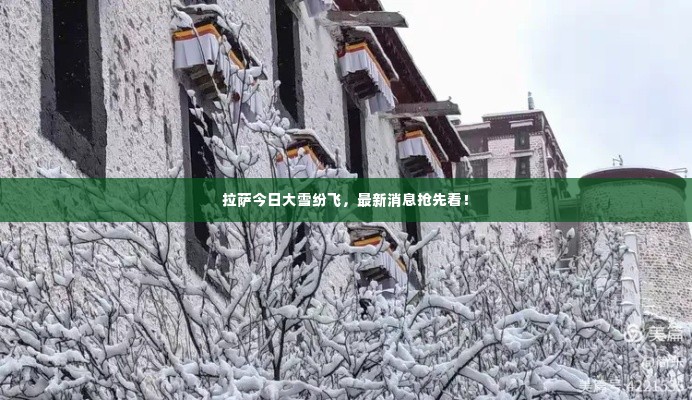 拉萨今日大雪纷飞，最新消息抢先看！