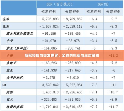 新冠疫情与突发世界，全球的挑战与应对策略