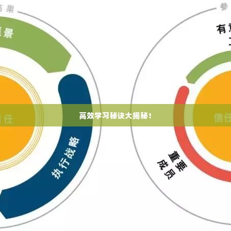 高效学习秘诀大揭秘！