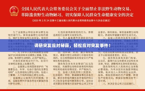 调研突发应对秘籍，轻松应对突发事件！